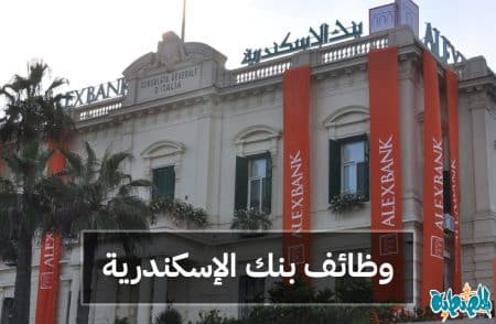 وظائف بنك الإسكندرية