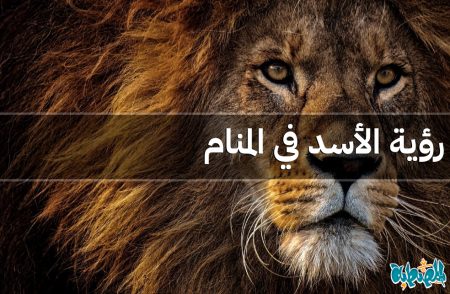 الأسد في المنام