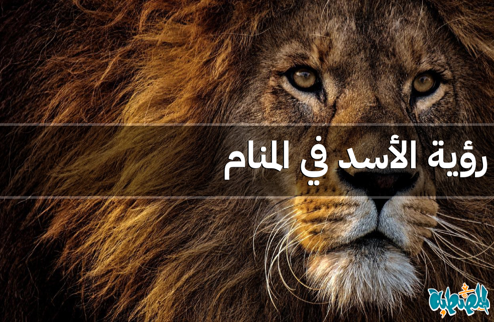 الأسد في المنام