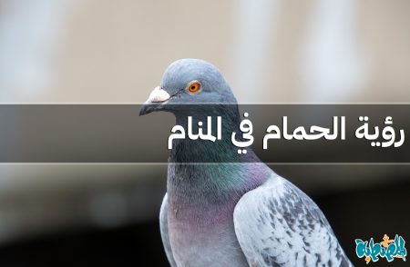 الحمام في المنام