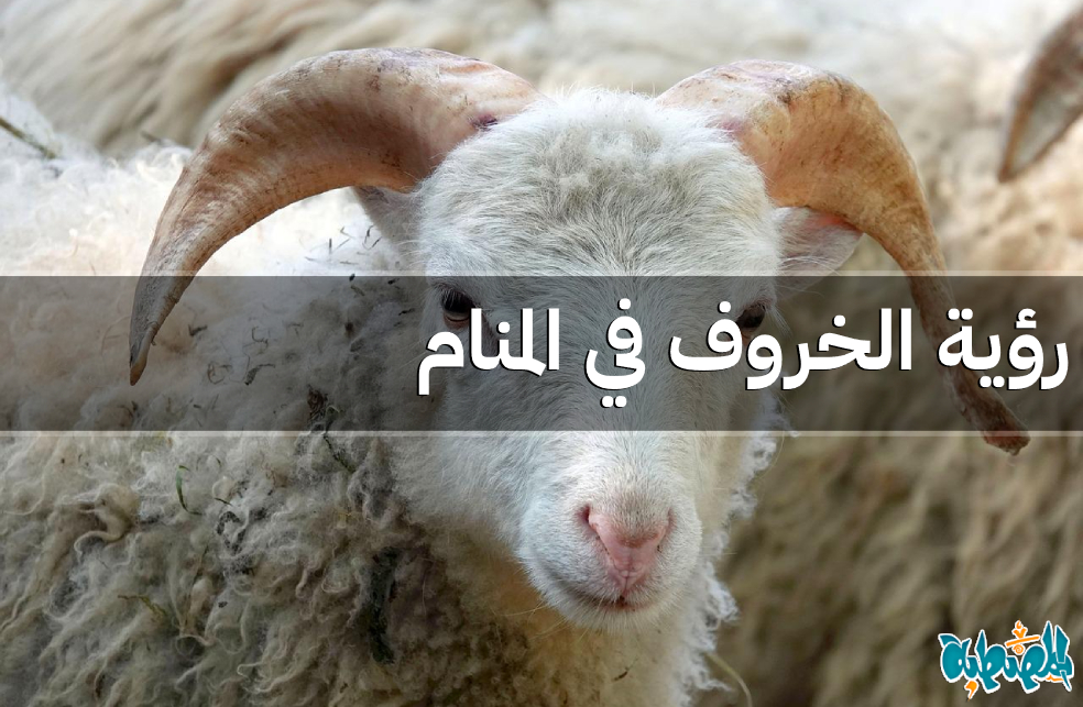 الخروف في المنام