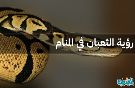 الثعبان في المنام