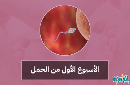 الأسبوع الأول من الحمل