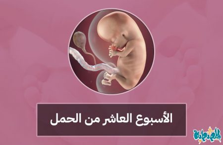 الأسبوع العاشر من الحمل
