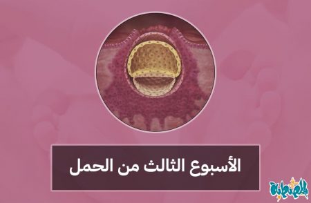 الأسبوع الثالث من الحمل