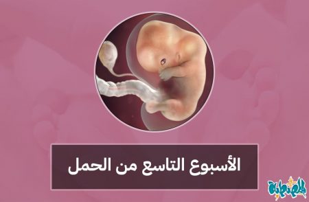 الأسبوع التاسع من الحمل