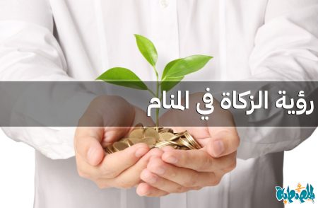 الزكاة في المنام