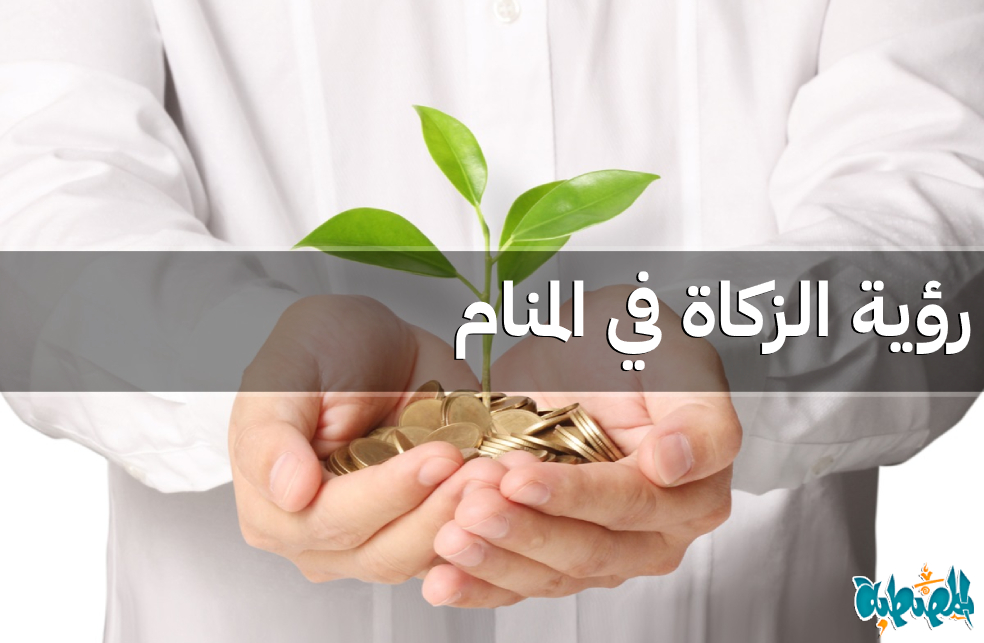 الزكاة في المنام