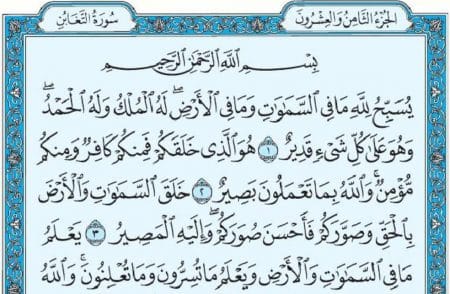 سورة التغابن mp3