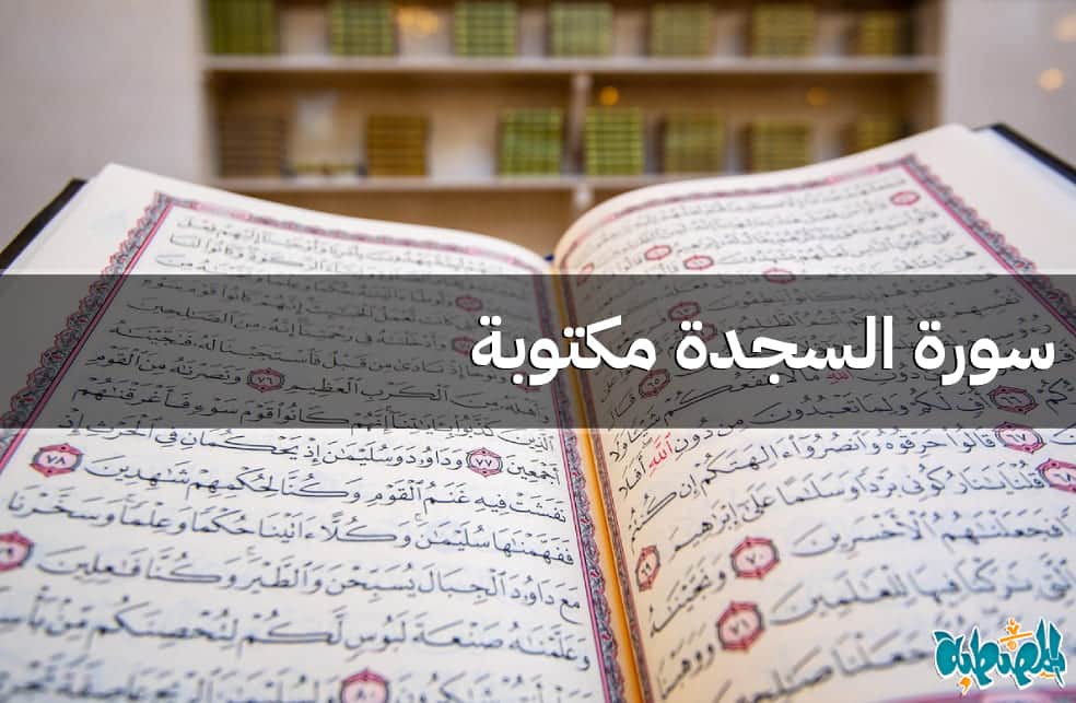 سورة السجدة مكتوبة