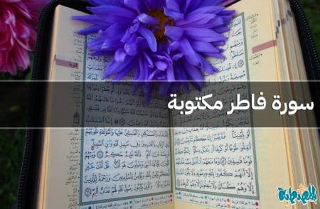 سورة فاطر مكتوبة