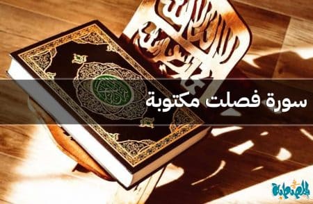 سورة فصلت مكتوبة